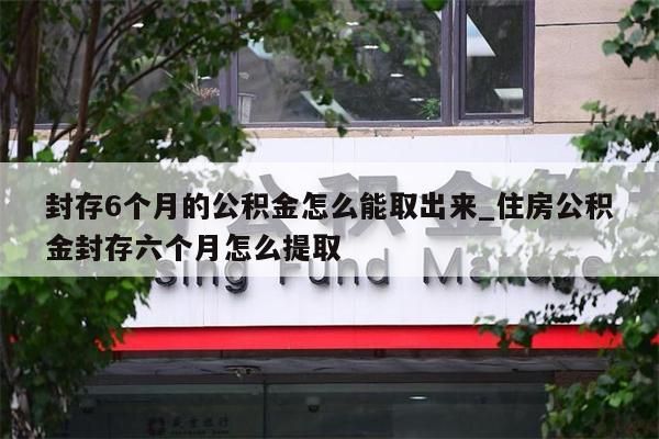 封存6个月的公积金怎么能取出来_住房公积金封存六个月怎么提取